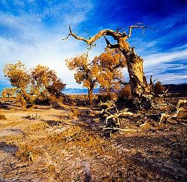 武侠模拟养成RPG《明镜江湖行：朔风起》公布