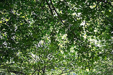 《消逝的光芒2》联动《收获日2》活动上线 追捕大盗感染者